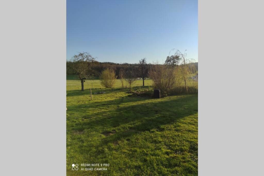 Schoene Helle Ferienwohnung In Waldnaehe ベルヒング エクステリア 写真