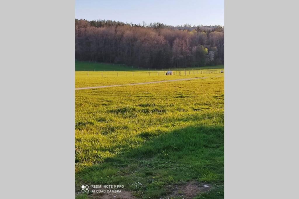 Schoene Helle Ferienwohnung In Waldnaehe ベルヒング エクステリア 写真
